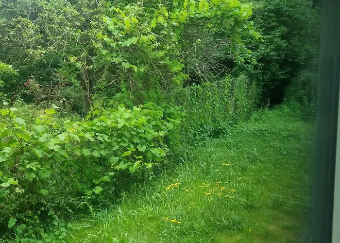 Апартаменты Apartament